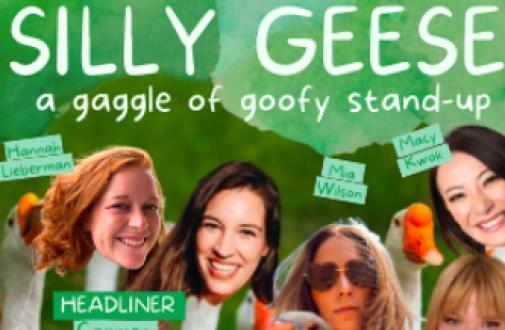 Silly Geese